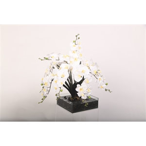 White Real-Touch Phael Orchids in Marina Bowl