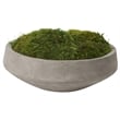 Preserved Mood Moss in Grey Newport Bowl