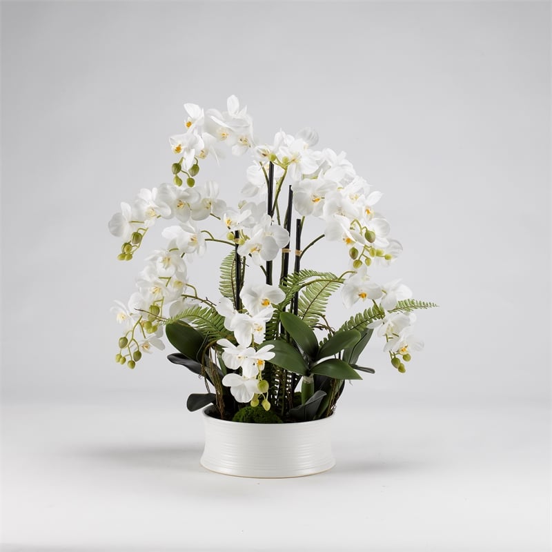 White Orchids in Round Ceramic Dish