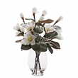 White Magnolias in Socle Vase