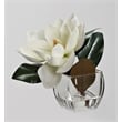 White Eva Magnolia Stem in Bevel Vase