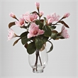 Pink Magnolia Stems in Socle Vase
