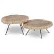 Urbia Relique Lastra Coffee Table in Stainless Steel Legs/Light Top (Set of 2)