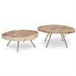 Urbia Relique Lastra Coffee Table in Stainless Steel Legs/Light Top (Set of 2)