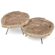 Urbia Relique Lastra Coffee Table in Stainless Steel Legs/Light Top (Set of 2)
