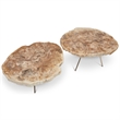 Urbia Relique Lastra Coffee Table in Stainless Steel Legs/Light Top (Set of 2)