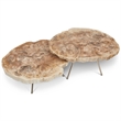 Urbia Relique Lastra Coffee Table in Stainless Steel Legs/Light Top (Set of 2)