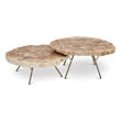 Urbia Relique Lastra Coffee Table in Stainless Steel Legs/Light Top (Set of 2)