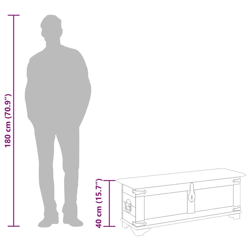 vidaXL Grains Solid Mango Wood Storage Chest in Brown