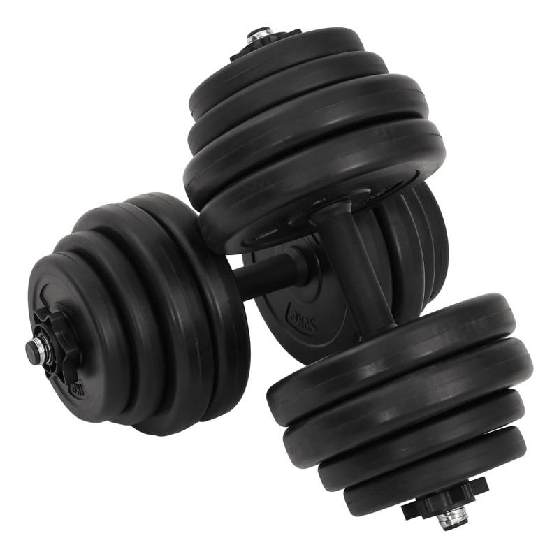 vidaXL Dumbbells in Black (Set of 2)