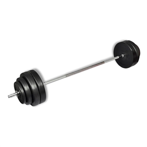 vidaXL Barbell with Plates Set in Black