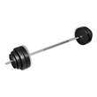 vidaXL Barbell with Plates Set in Black