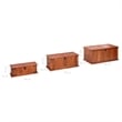 vidaXL Solid Acacia Wood MDF Storage Chest in Bown (Set of 3)
