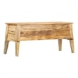 vidaXL Medium Solid Mango Wood Storage Box in Natural