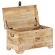 vidaXL Medium Solid Rough Mango Wood Storage Chest in Brown