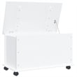 vidaXL Solid Pine Wood Storage Chest in White