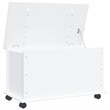 vidaXL Solid Pine Wood Storage Chest in White