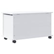 vidaXL Solid Pine Wood Storage Chest in White