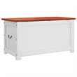 vidaXL Solid Acacia Wood and Engineered Wood Storage Chest in Brown and White