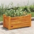 vidaXL Acacia wood with oil finish Compact Durable Raised Bed in Brown
