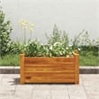 vidaXL Acacia wood with oil finish Compact Durable Raised Bed in Brown
