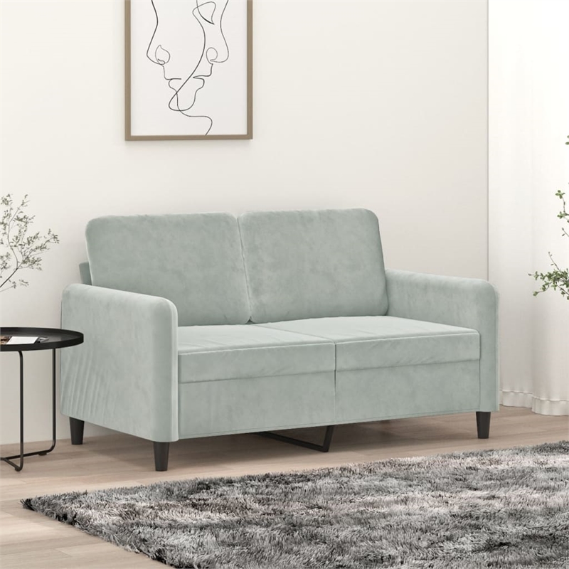 Vidaxl Metal 2-Seater Sofa in Light Grey Velvet