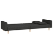 Vidaxl Metal 2-Seater Sofa Bed in Black Fabric