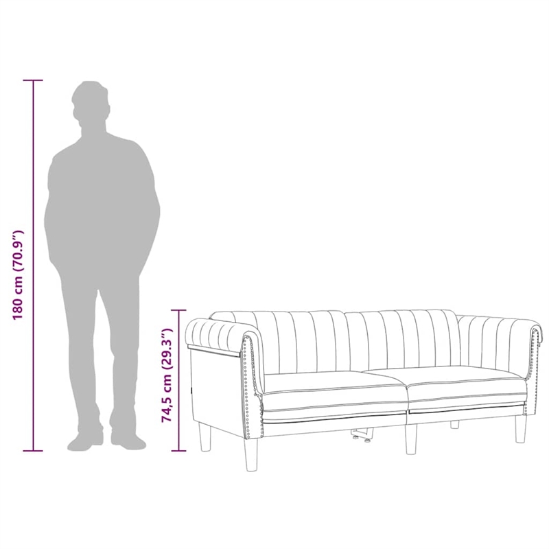 Vidaxl Rectangular 3-Seater Stylish Sofa in Black Velvet