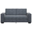 Vidaxl 2-Seater Sofa in Dark Gray Velvet