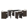 vidaXL 5 Piece Poly Rattan Garden Dining Set with Cushions in Brown