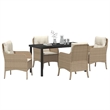 vidaXL 5 Piece Poly Rattan Garden Dining Set with Cushions in Beige