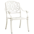 vidaXL 5 Piece Aluminum Medium Bistro Set in White