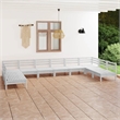 vidaXL 10 Piece Wood Garden Lounge Set in White