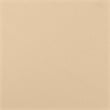 vidaXL Wood Garden Lounge Set in Beige
