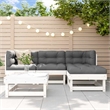 vidaXL 5 Piece Wood Garden Lounge Set in White/Anthracite