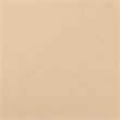 vidaXL 8 Piece Wood Small Garden Lounge Set in Beige