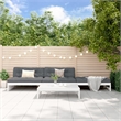 vidaXL 4 Piece Wood Large Garden Lounge Set in White
