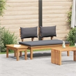 vidaXL 2 PC Wood Garden Bench in with Cushions in Gray/Brown