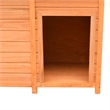vidaXL Solid Pine Wood Dog House in Brown/Green