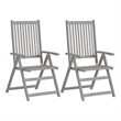 vidaXL Solid Acacia Wood Standard Foldable Garden Chair in Gray (Set of 2)