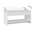 vidaXL Engineered Wood Medium Coffee Table in White