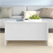vidaXL Engineered Wood Coffee Table in White
