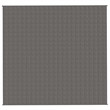 vidaXL Weighted Blanket in Gray