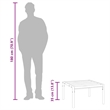 vidaXL Small Coffee Table in Black