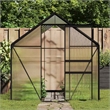 vidaXL Aluminum & Polycarbonate Large Greenhouse in Anthracite Transparent