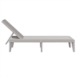 vidaXL Polypropylene Standard Foldable Sun Lounger in Gray