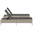 vidaXL  Sun Lounger Set in Light Gray