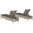vidaXL  Sun Lounger Set in Light Gray