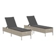 vidaXL  Sun Lounger Set in Light Gray