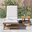 vidaXL Solid Acacia Wood Standard Foldable Sun Lounger in Brown (Set of 2)